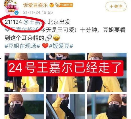东北女孩爆料视频播放网站,热门视频网站背后的秘密 第1张 东北女孩爆料视频播放网站,热门视频网站背后的秘密 第1张